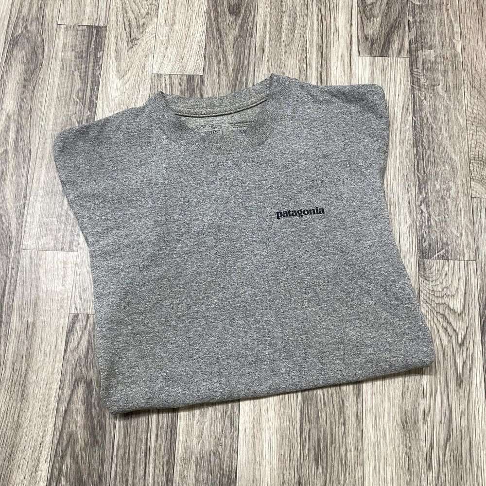 PATAGONIA Graphic Print Short Sleeve Grey Pullover T-Shirt Men's Size XS